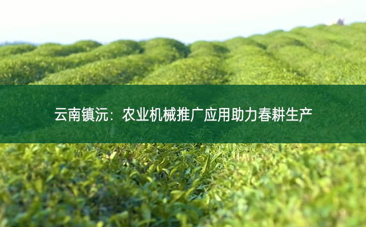 云南鎮(zhèn)沅：農(nóng)業(yè)機械推廣應用助力春耕生產(chǎn)