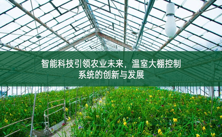 智能科技引領(lǐng)農(nóng)業(yè)未來，溫室大棚控制系統(tǒng)的創(chuàng)新與發(fā)展