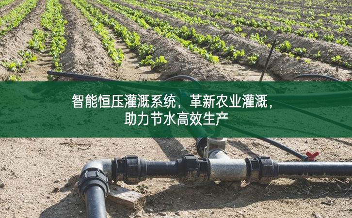 智能恒壓灌溉系統，革新農業灌溉，助力節水高效生產