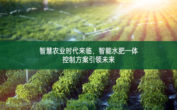 智慧農業時代來臨，智能水肥一體控制方案引領未來
