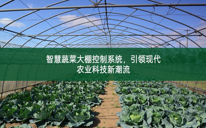 智慧蔬菜大棚控制系統，引領現代農業科技新潮流