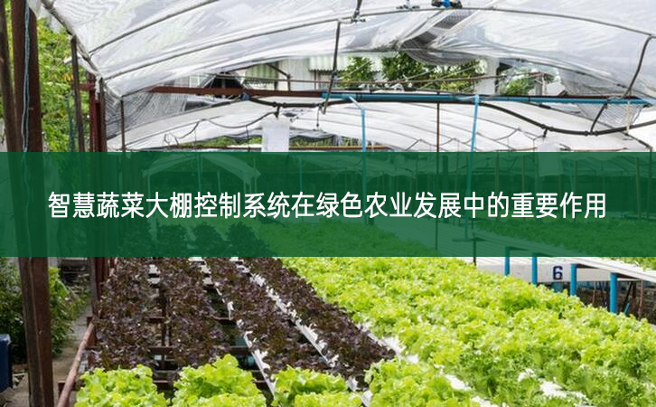 智慧蔬菜大棚控制系統在綠色農業發展中的重要作用