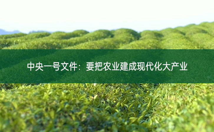 中央一號文件：要把農(nóng)業(yè)建成現(xiàn)代化大產(chǎn)業(yè)