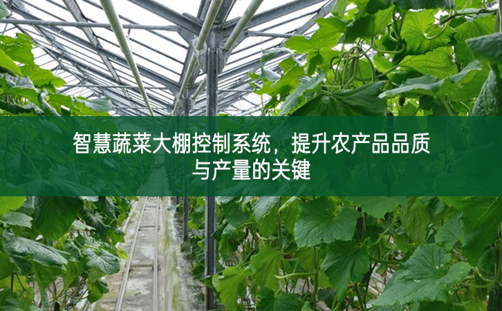 智慧蔬菜大棚控制系統，提升農產品品質與產量的關鍵
