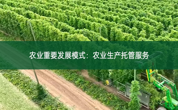 農業重要發展模式：農業生產托管服務