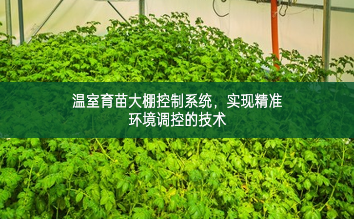 溫室育苗大棚控制系統，實現精準環境調控的技術