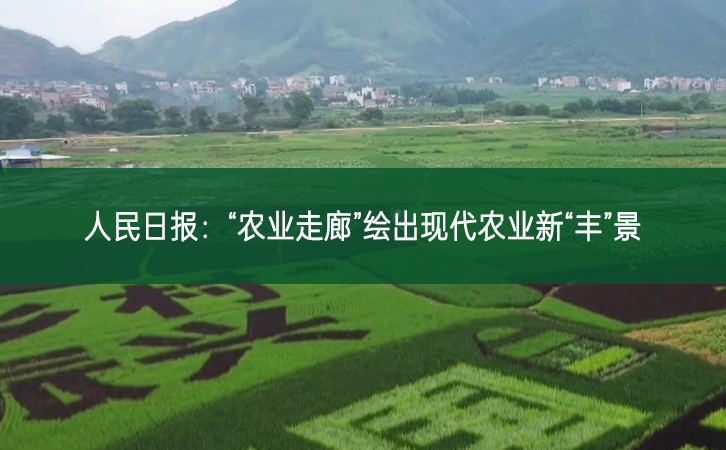 人民日?qǐng)?bào)：“農(nóng)業(yè)走廊”繪出現(xiàn)代農(nóng)業(yè)新“豐”景