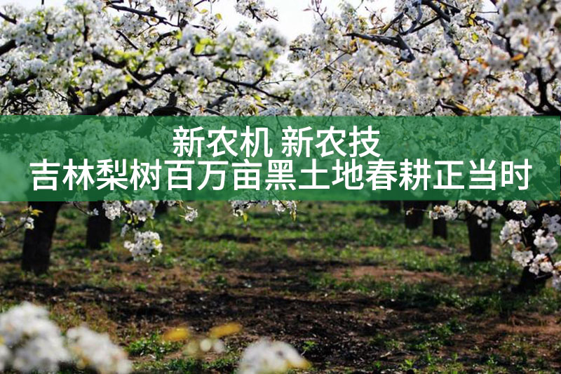 新農(nóng)機(jī) 新農(nóng)技 吉林梨樹百萬畝黑土地春耕正當(dāng)時
