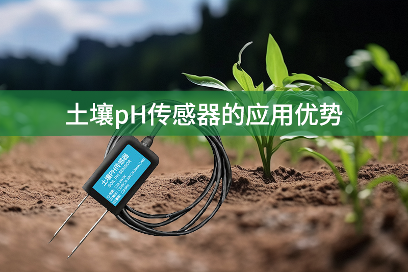 土壤pH傳感器的應用優(yōu)勢