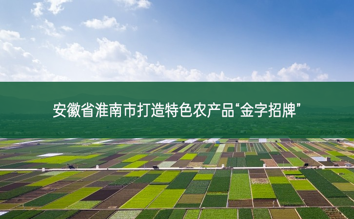 安徽省淮南市打造特色農(nóng)產(chǎn)品“金字招牌”