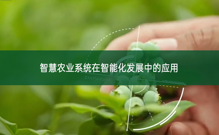 智慧農(nóng)業(yè)系統(tǒng)在智能化發(fā)展中的應(yīng)用
