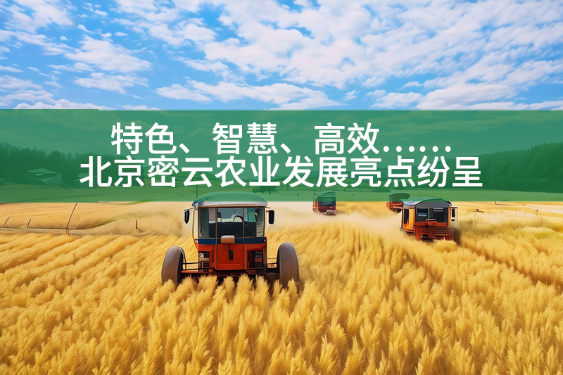 特色、智慧、高效……北京密云農(nóng)業(yè)發(fā)展亮點(diǎn)紛呈