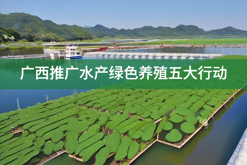 廣西推廣水產綠色養殖五大行動