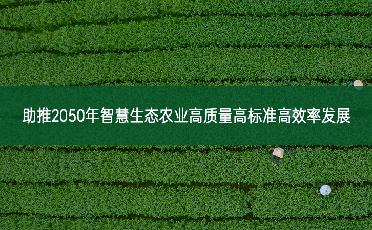 助推2050年智慧生態(tài)農(nóng)業(yè)高質(zhì)量高標(biāo)準(zhǔn)高效率發(fā)展