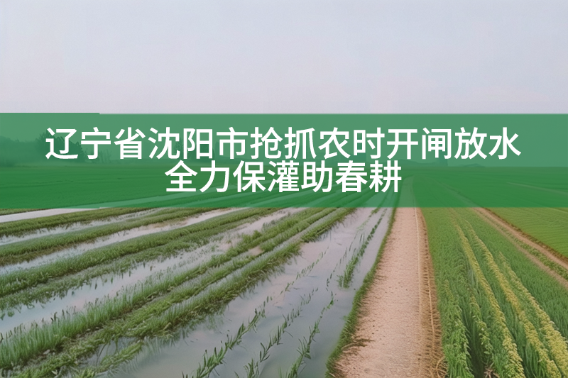遼寧省沈陽市搶抓農(nóng)時開閘放水 全力保灌助春耕