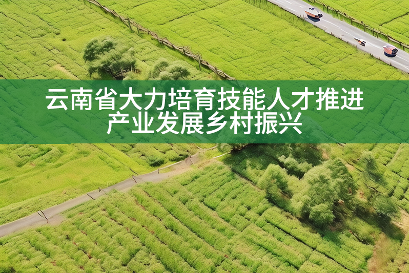 云南省大力培育技能人才推進產業發展鄉村振興