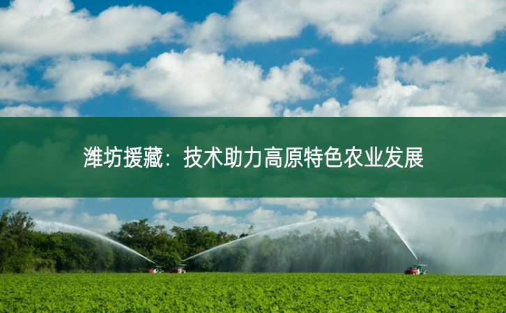 濰坊援藏：技術(shù)助力高原特色農(nóng)業(yè)發(fā)展