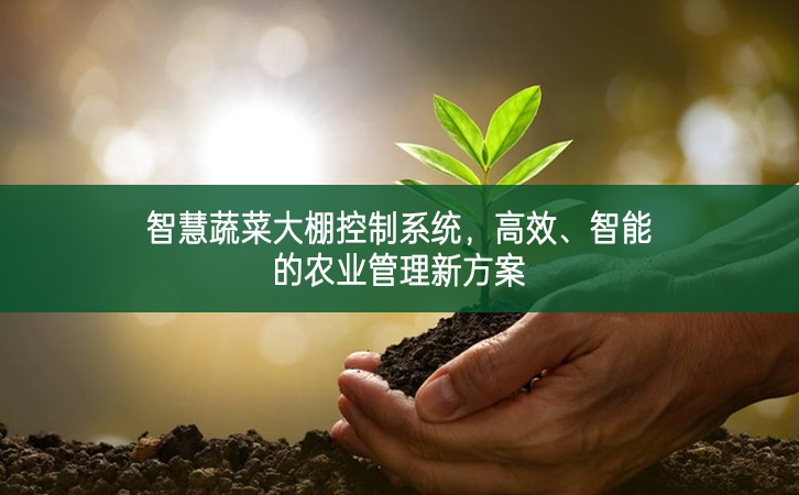 智慧蔬菜大棚控制系統，高效、智能的農業管理新方案