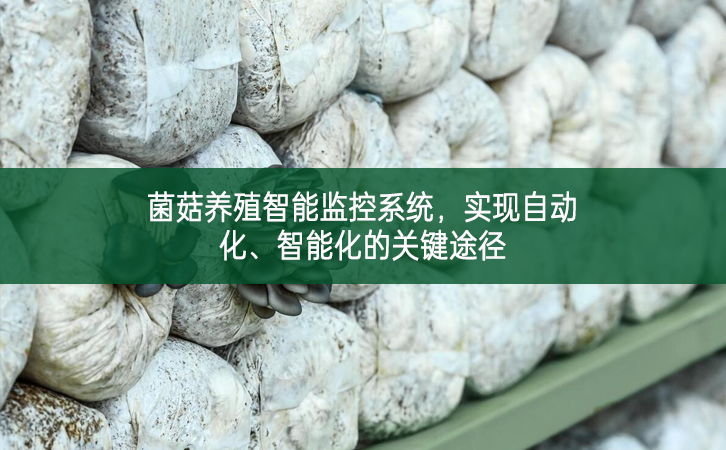 菌菇養(yǎng)殖智能監(jiān)控系統(tǒng)，實現(xiàn)自動化、智能化的關(guān)鍵途徑