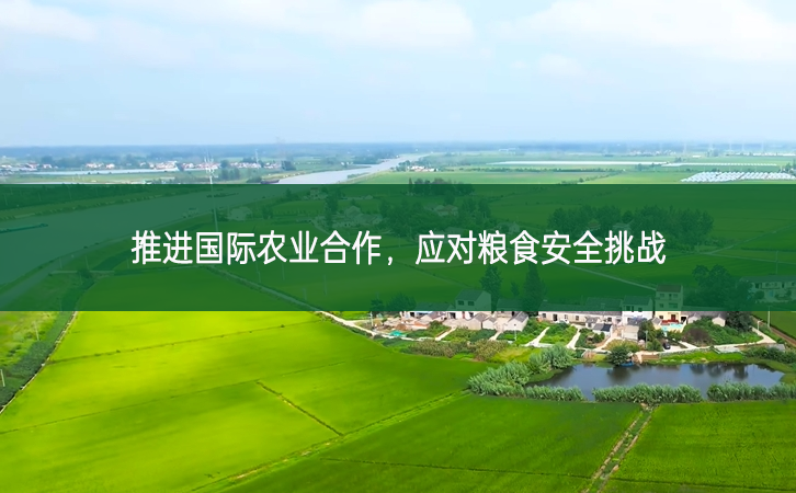 推進(jìn)國(guó)際農(nóng)業(yè)合作 應(yīng)對(duì)糧食安全挑戰(zhàn)