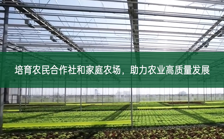 培育農民合作社和家庭農場 助力農業高質量發展