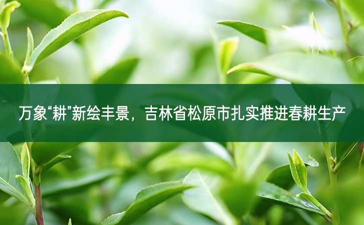萬象“耕”新繪豐景 吉林省松原市扎實推進春耕生產(chǎn)