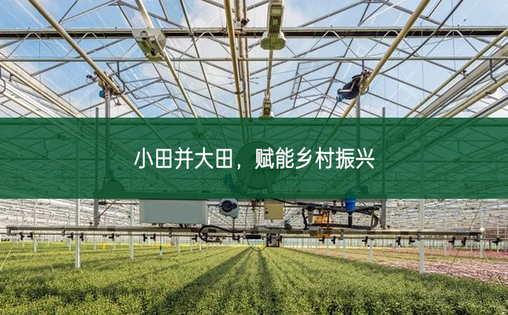 小田并大田 賦能鄉村振興