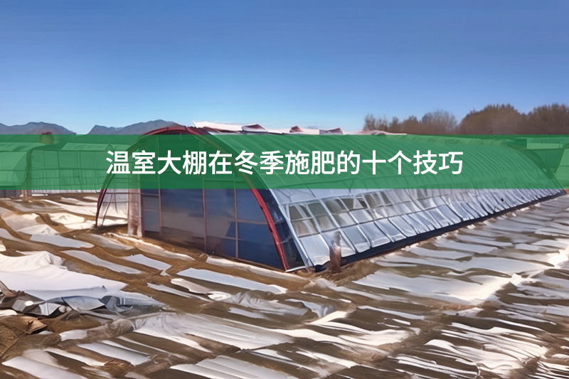 溫室大棚在冬季施肥的十個(gè)技巧