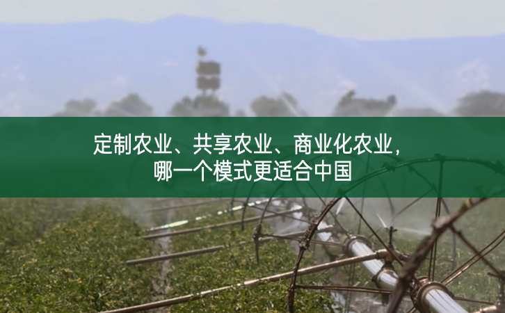 定制農業、共享農業、商業化農業，哪一個模式更適合中國