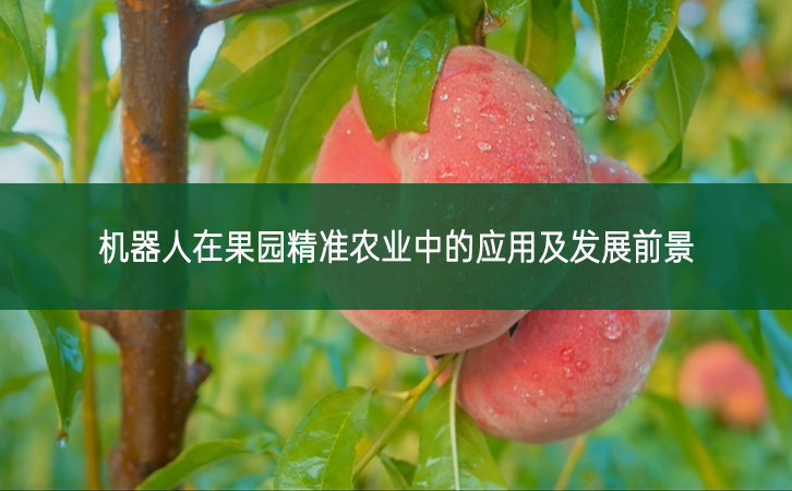 機器人在果園精準農業(yè)中的應用及發(fā)展前景