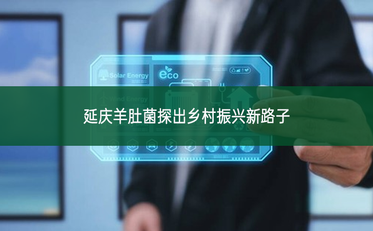延慶羊肚菌探出鄉(xiāng)村振興新路子