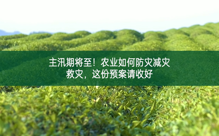 主汛期將至！農業如何防災減災救災，這份預案請收好