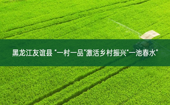 黑龍江友誼縣 “一村一品”激活鄉(xiāng)村振興“一池春水”