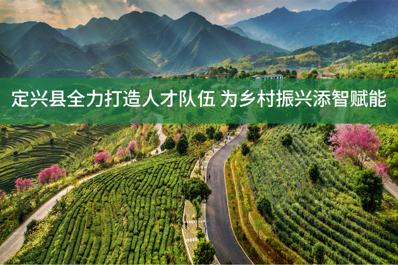 定興縣全力打造人才隊(duì)伍 為鄉(xiāng)村振興添智賦能