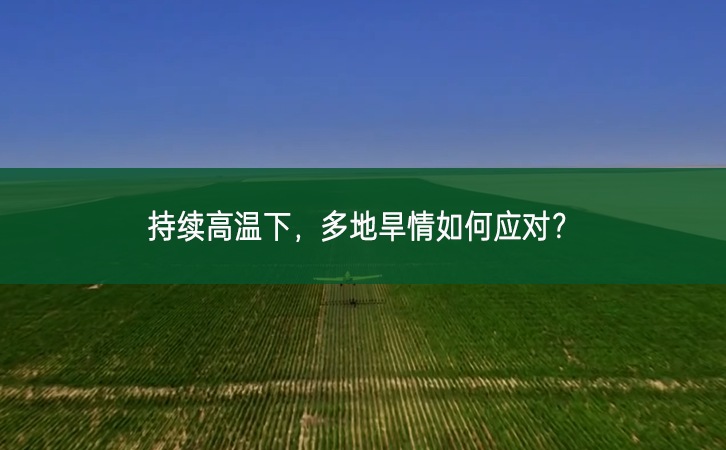 持續(xù)高溫下，多地旱情如何應(yīng)對？
