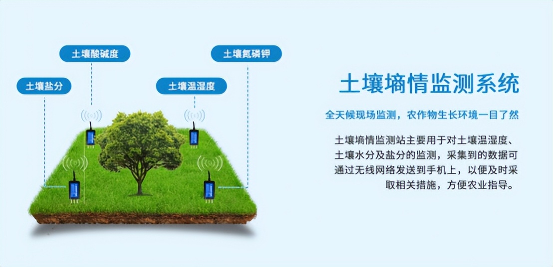 配合土壤墑情系統，維持育苗環境