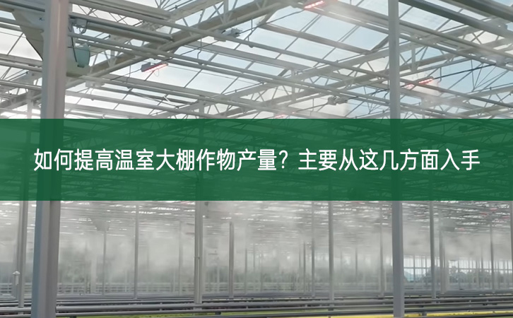 如何提高溫室大棚作物產量？主要從這幾方面入手