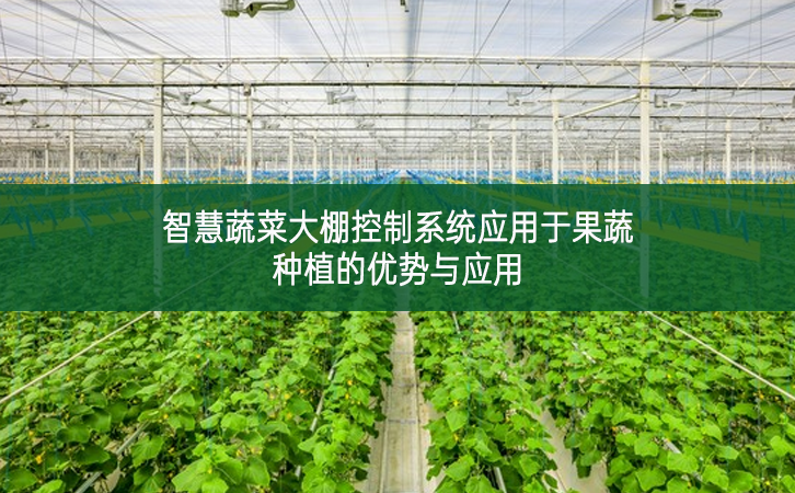 智慧蔬菜大棚控制系統應用于果蔬種植的優勢與應用