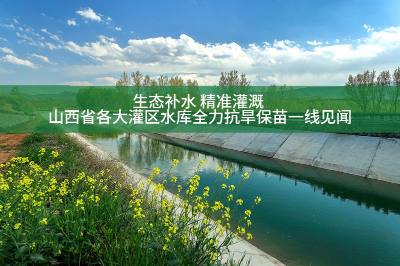 生態補水 精準灌溉 ——山西省各大灌區水庫全力抗旱保苗一線見聞