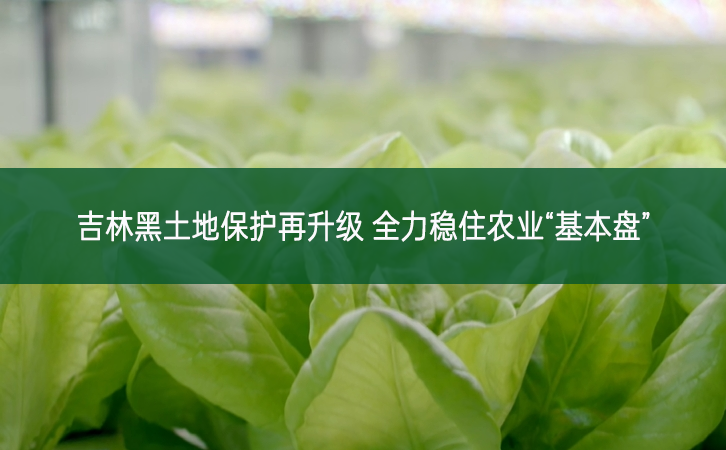 吉林黑土地保護再升級 全力穩(wěn)住農(nóng)業(yè)“基本盤”