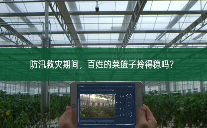 防汛救災期間，百姓的菜籃子拎得穩嗎？