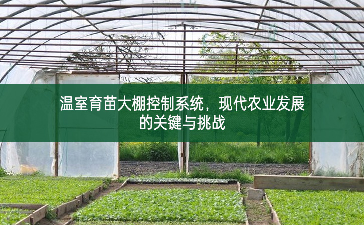 溫室育苗大棚控制系統(tǒng)，現(xiàn)代農(nóng)業(yè)發(fā)展的關(guān)鍵與挑戰(zhàn)