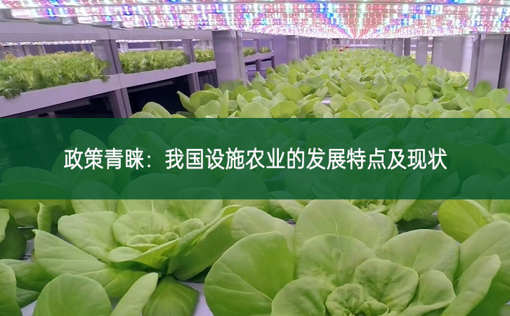 政策青睞：我國(guó)設(shè)施農(nóng)業(yè)的發(fā)展特點(diǎn)及現(xiàn)狀