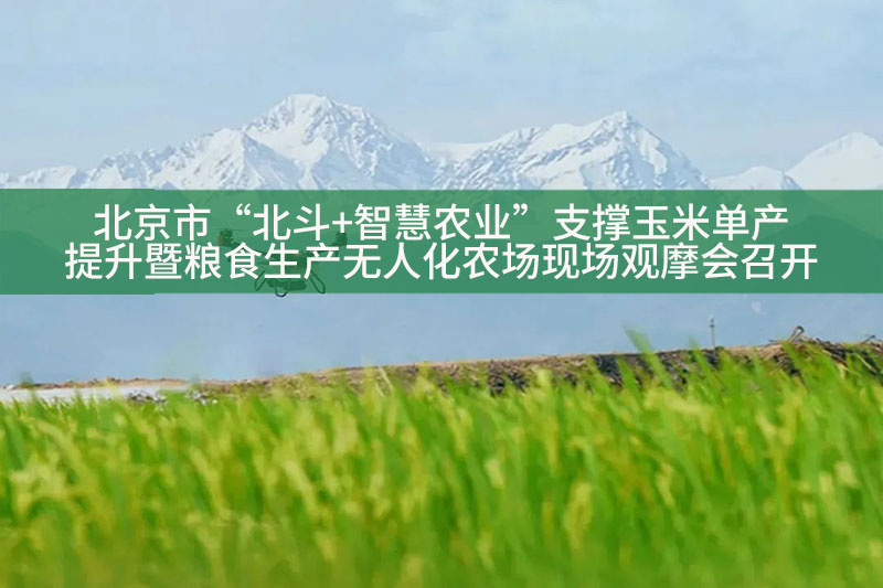 北京市“北斗+智慧農(nóng)業(yè)”支撐玉米單產(chǎn)提升暨糧食生產(chǎn)無人化農(nóng)場現(xiàn)場觀摩會召開
