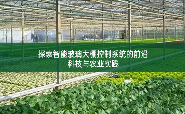 探索智能玻璃大棚控制系統(tǒng)的前沿科技與農(nóng)業(yè)實踐