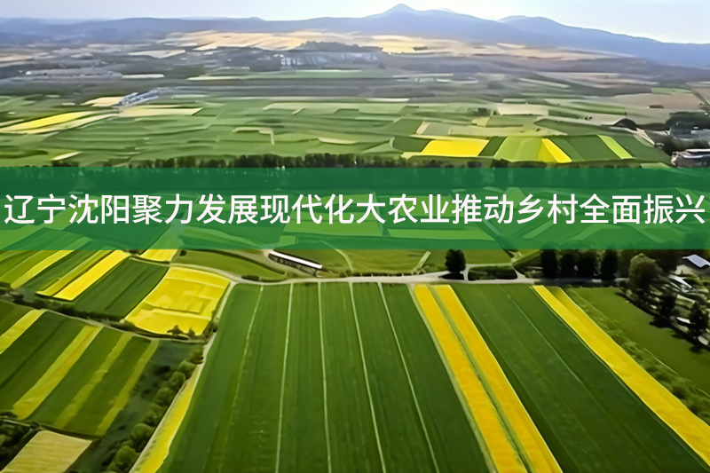 遼寧沈陽聚力發展現代化大農業推動鄉村全面振興