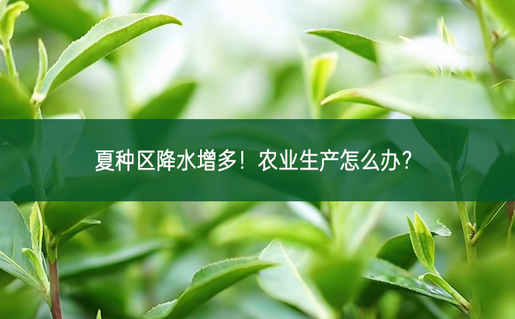 夏種區(qū)降水增多！農(nóng)業(yè)生產(chǎn)怎么辦？