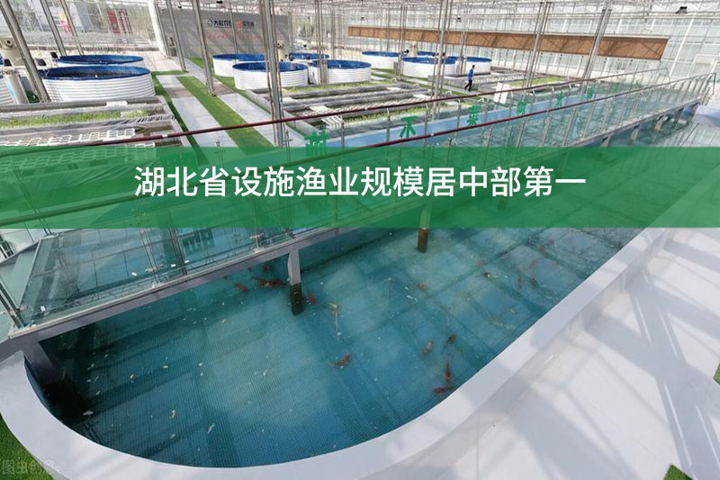 湖北省設(shè)施漁業(yè)規(guī)模居中部第一