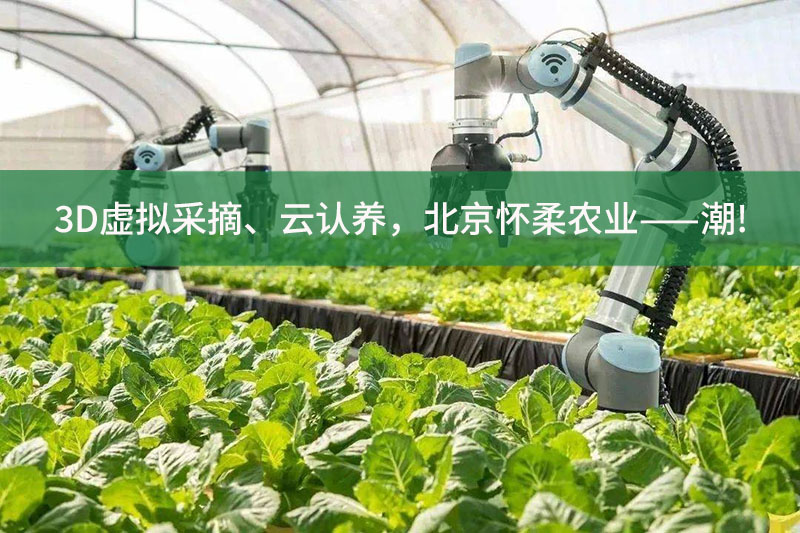 3D虛擬采摘、云認養，北京懷柔農業——潮!