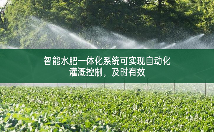 智能水肥一體化系統可實現自動化灌溉控制，及時有效